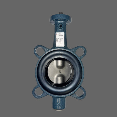 100-001-720 Butterfly valve DN 65